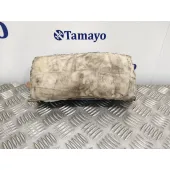 Airbag Delantero Derecho para Bmw X5 (E53)