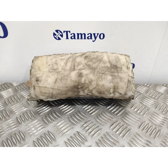 Airbag Delantero Derecho para Bmw X5 (E53)