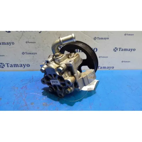 Bomba Servodireccion para Ford Transit Connect (Tc7)