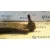 Brazo Suspension Inferior Delantero Derecho para Volvo S40 Berlina