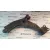Brazo Suspension Inferior Delantero Derecho para Volvo S40 Berlina