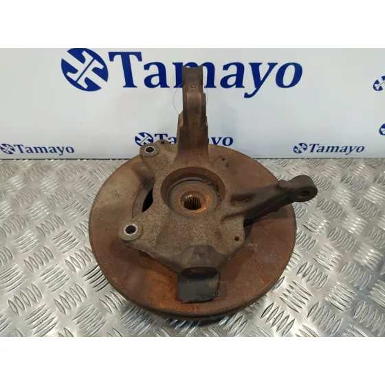 Mangueta Delantera Derecha para Renault Scenic Iii