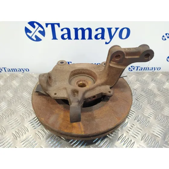 Mangueta Delantera Derecha para Renault Scenic Iii