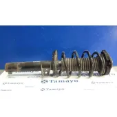 Amortiguador Delantero Izquierdo para Seat Leon (1P1)