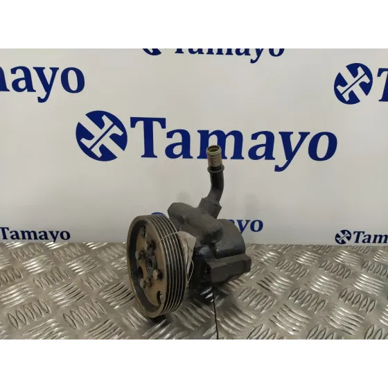 Bomba Servodireccion para Peugeot Boxer Caja Cerrada (Rs2850)(230)(->'02)