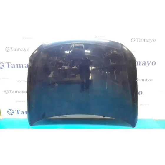 Capot para Volkswagen Passat Variant (3C5)