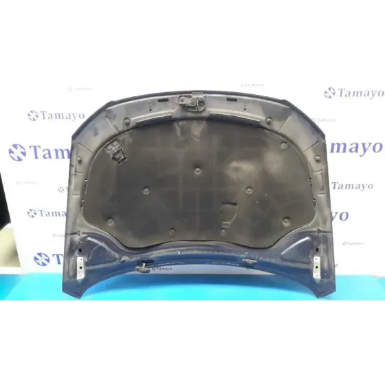 Capot para Volkswagen Passat Variant (3C5)