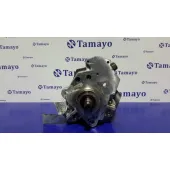 Bomba Inyeccion para Renault Espace Iv (Jk0)