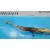 Cremallera Direccion para Peugeot 607 (S1)