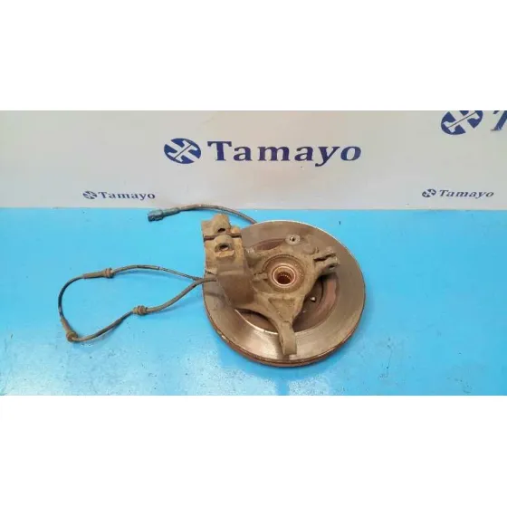 Mangueta Delantera Izquierda para Peugeot 1007