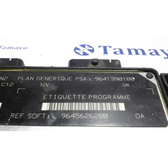 Centralita Motor Uce para Ford Focus Berlina (Cak)