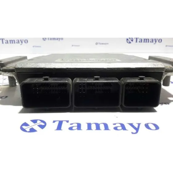 Centralita Motor Uce para Renault Laguna Ii (Bg0)