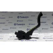 Potenciometro Pedal para Citroën C3