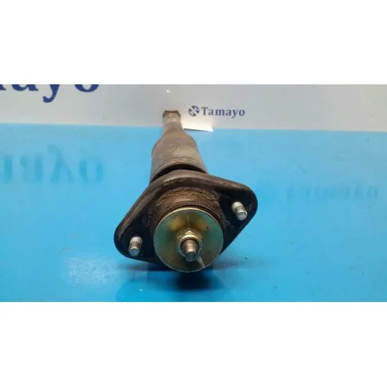 Amortiguador Trasero para Bmw Z4 Roadster (E85)