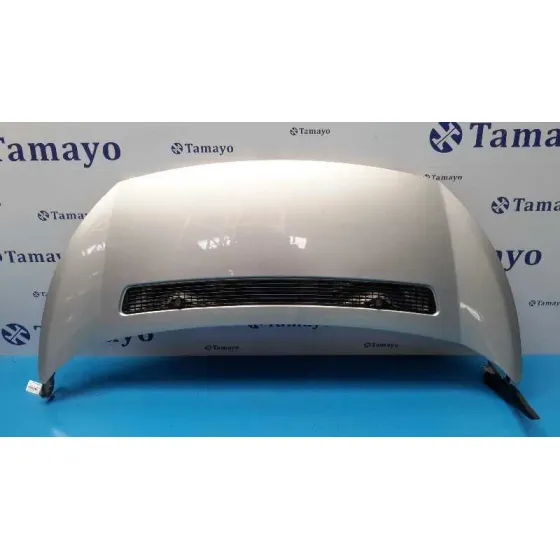 Capot para Peugeot Expert Kasten