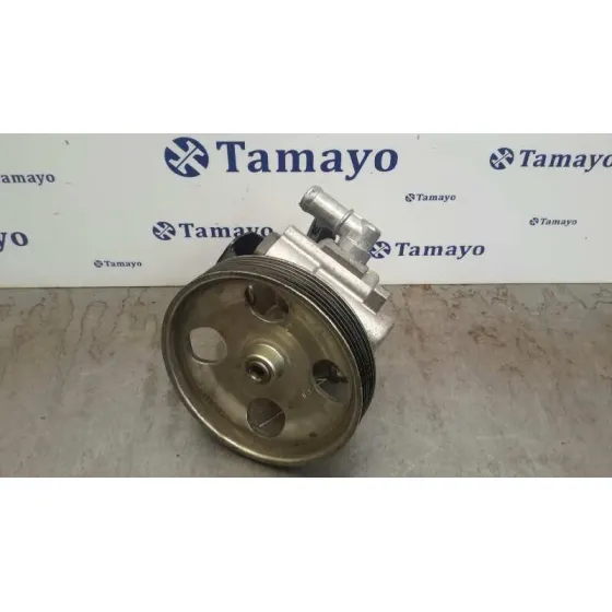 Bomba Servodireccion para Fiat Scudo (222)