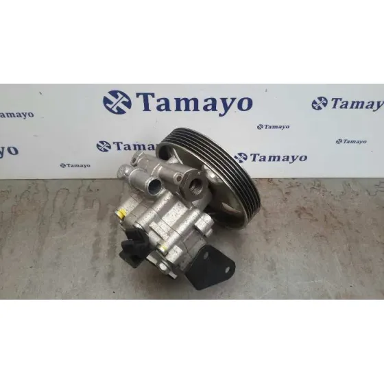Bomba Servodireccion para Fiat Scudo (222)