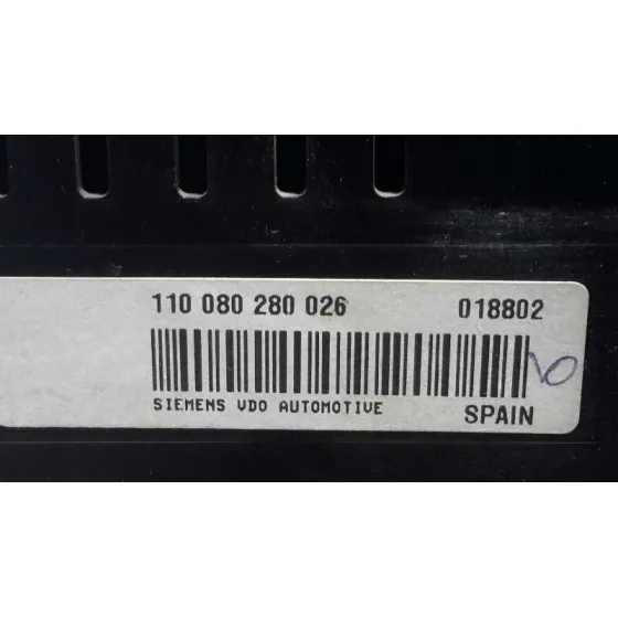 Cuadro Instrumentos para Seat Leon (1P1)