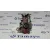 Depresor Freno / Bomba Vacio para Nissan Qashqai (J10)