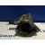 Depresor Freno / Bomba Vacio para Renault Clio Ii Fase Ii (B/Cb0)