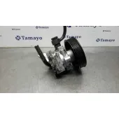 Bomba Servodireccion para Hyundai Trajet (Fo)