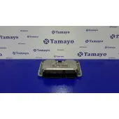 Centralita Motor Uce para Seat Ibiza (6J5)