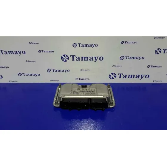 Centralita Motor Uce para Seat Ibiza (6J5)