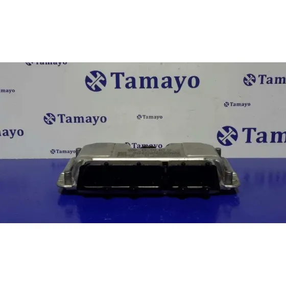 Centralita Motor Uce para Seat Ibiza (6J5)