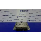 Centralita Motor Uce para Peugeot 307 (S1)
