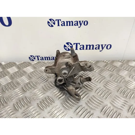 Pinza Freno Trasera Izquierda para Seat Leon (1P1)