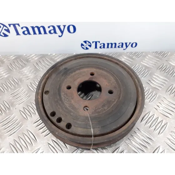 Polea Ciguenal para Chrysler Voyager (Rg)