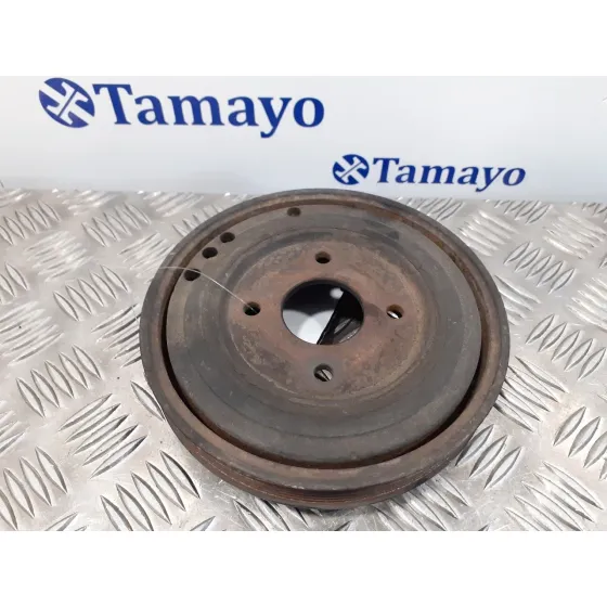 Polea Ciguenal para Chrysler Voyager (Rg)