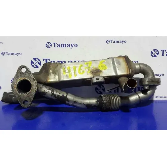 Enfriador Gases para Seat Alhambra (7V9)