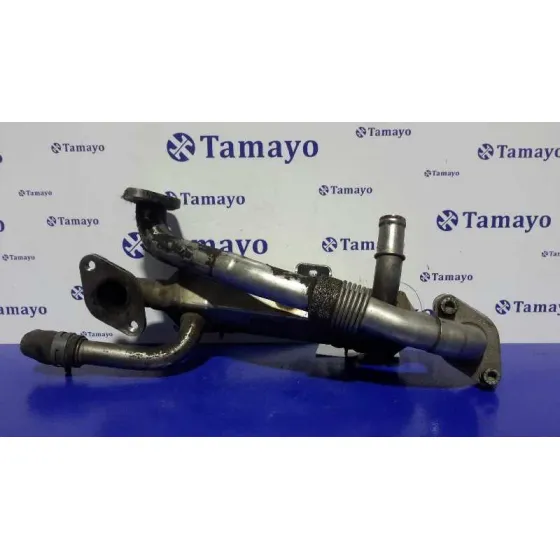 Enfriador Gases para Seat Alhambra (7V9)