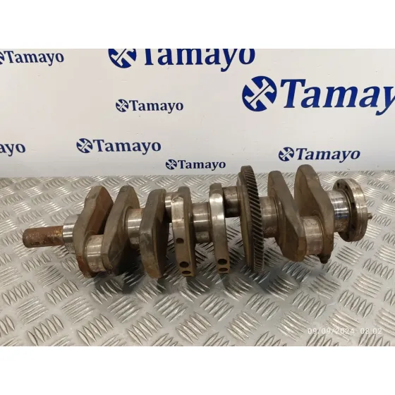 Ciguenal para Peugeot 607 (S1)