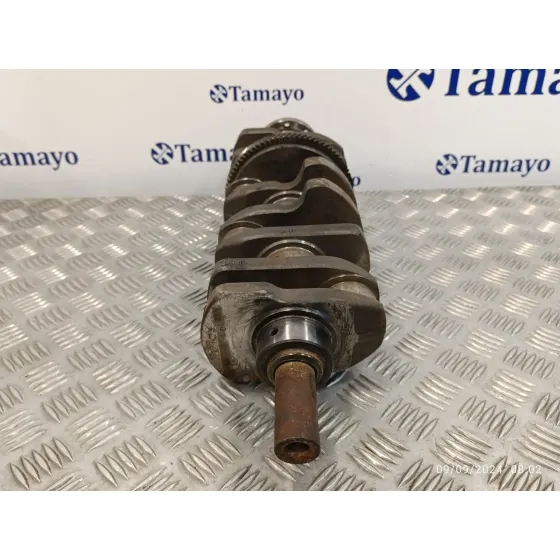 Ciguenal para Peugeot 607 (S1)