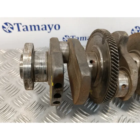 Ciguenal para Peugeot 607 (S1)