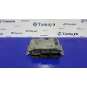 Centralita Motor Uce para Peugeot Expert Kasten