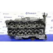 Culata para Peugeot Expert Kasten