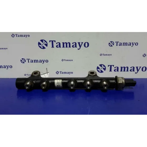 Rampa Inyectora para Citroën C3