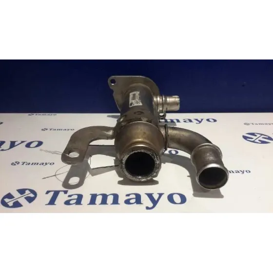 Enfriador Gases para Peugeot 407