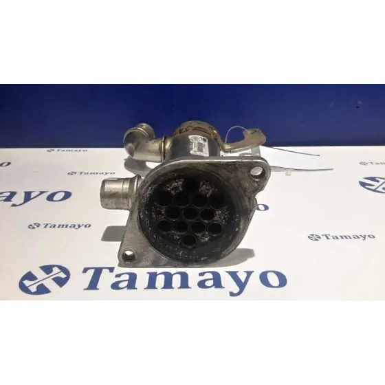 Enfriador Gases para Peugeot 407