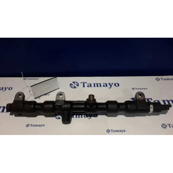 Rampa Inyectora para Ford Mondeo Berlina (Ge)