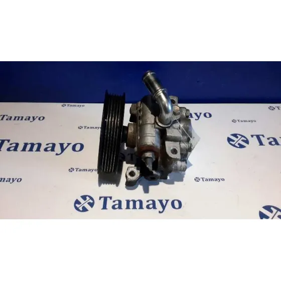Bomba Servodireccion para Ford Transit Connect (Tc7)
