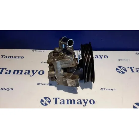 Bomba Servodireccion para Ford Transit Connect (Tc7)