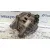 Alternador para Subaru Legacy Berl. B13 (Bl)