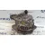 Alternador para Subaru Legacy Berl. B13 (Bl)