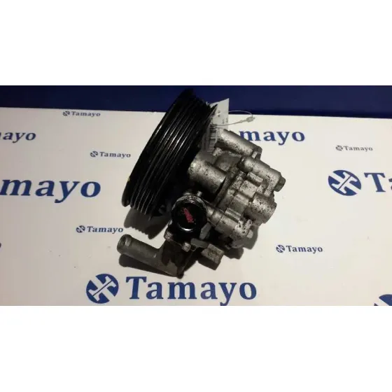 Bomba Servodireccion para Hyundai Tucson (Jm)