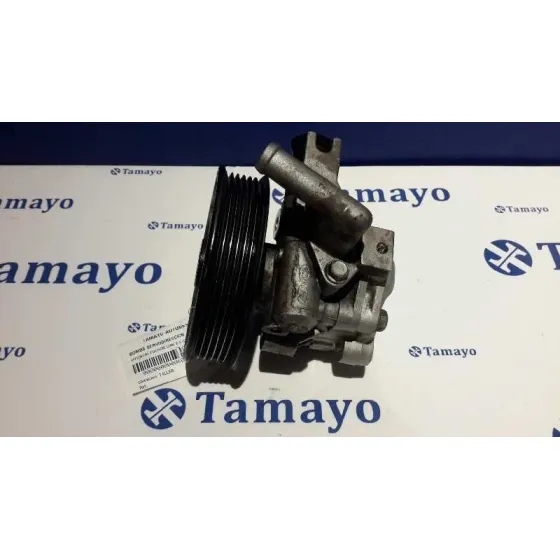 Bomba Servodireccion para Hyundai Tucson (Jm)