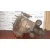 Diferencial Trasero para Nissan Pathfinder (R51)